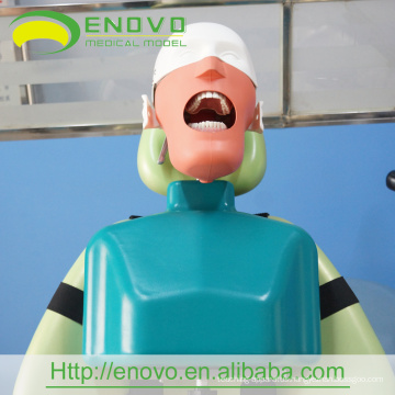 EN-U3 Wholesale II Type Dental Head Body Model Export Worldwide Countries